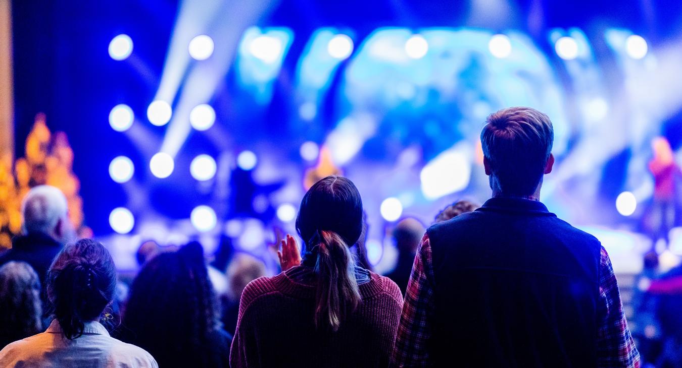 Sicurezza nei concerti e grandi manifestazioni